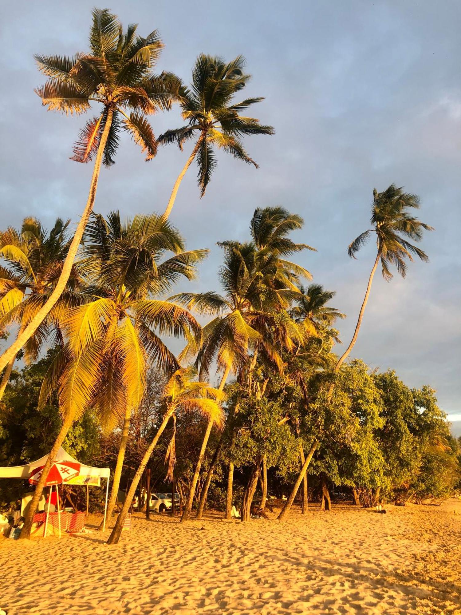 Beau T4 Refait A Neuf Proche Plage Sainte-Anne Exterior foto